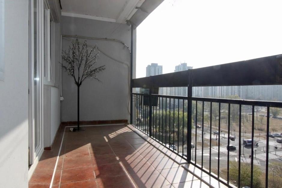 Cezar Apartment Belgrado Exterior foto